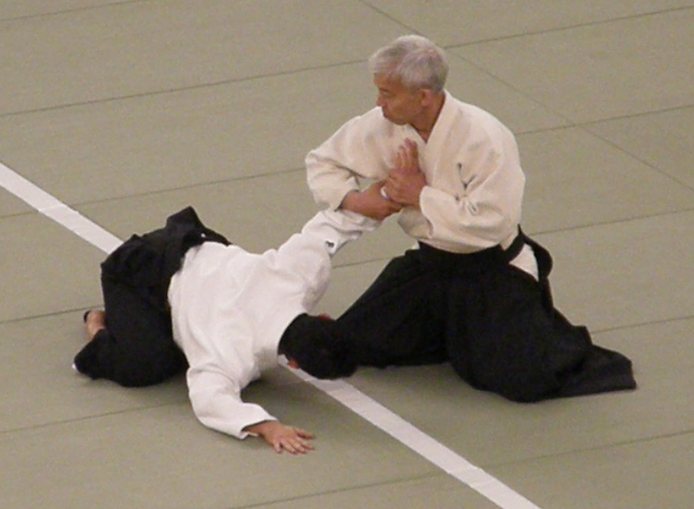 Being In Movement ® - Paul Linden, Aikido